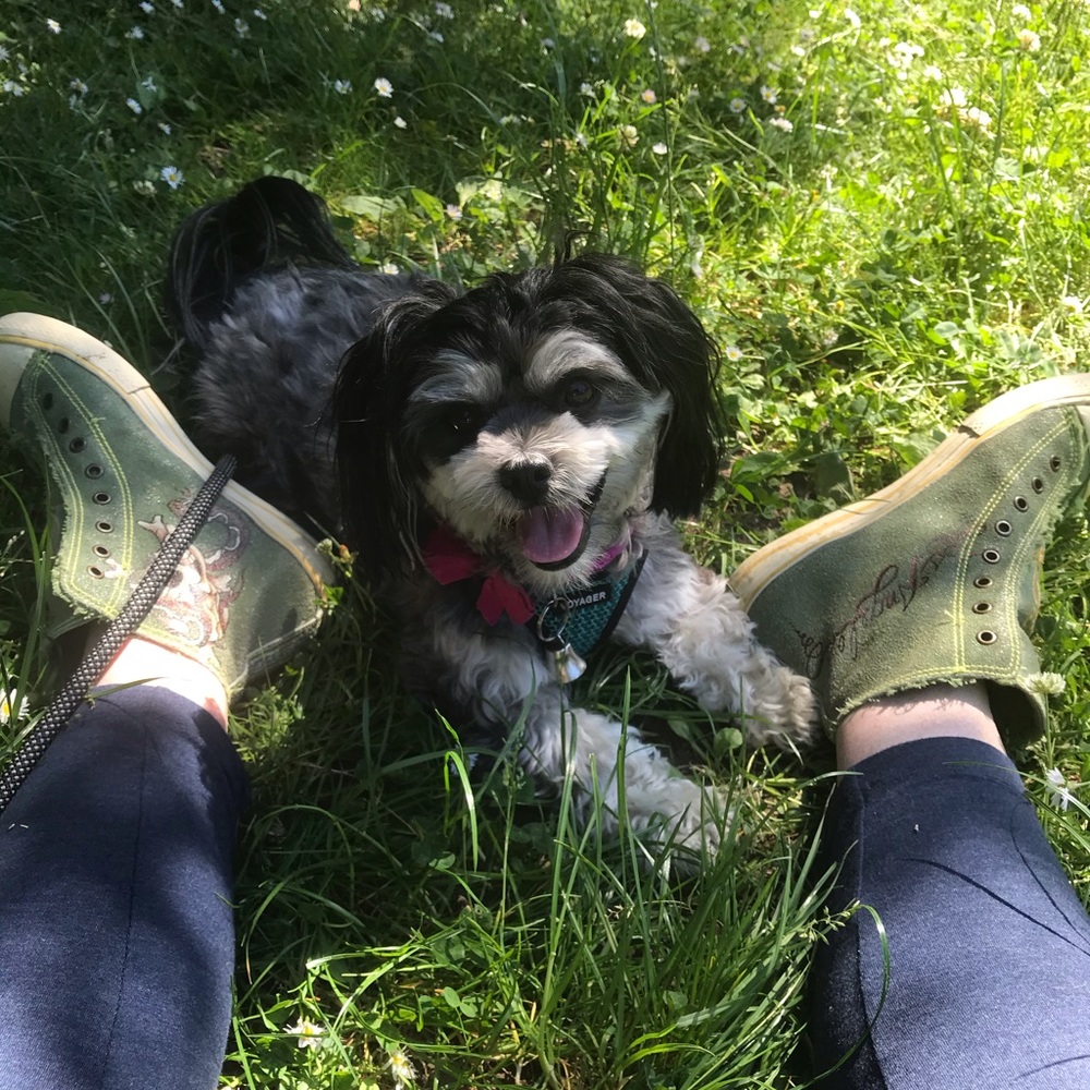 Hey, Poshers! Thanks for checking out my Closet!